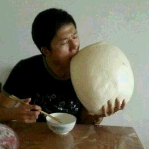 苦读诗书