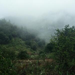 落千丈花落无声