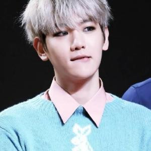 边粑粑的小公举