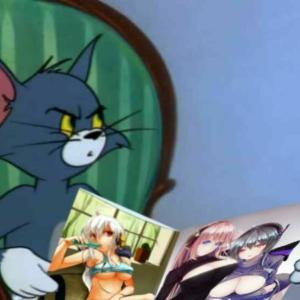 养狮子的猫