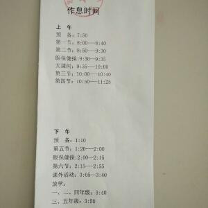 小小白鸽