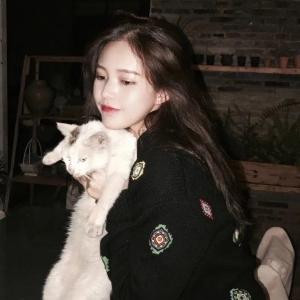 我的猫?