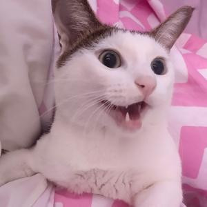 劝你做人善良