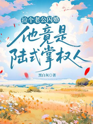 捡个老公闪婚，他竟是陆式掌权人