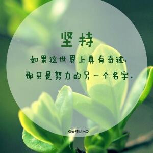 风雪夜归人