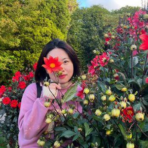 ┅过来,葵花