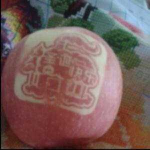 龙哥