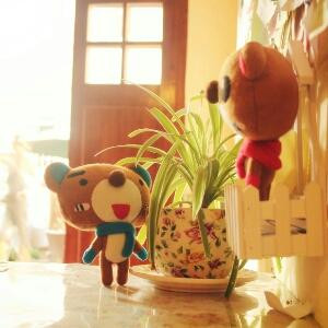 栀子花