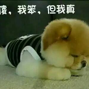 疯书子