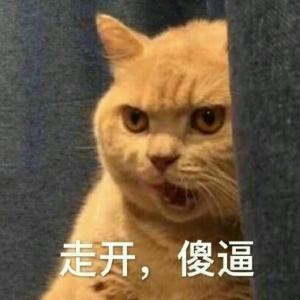 你就是褒姒