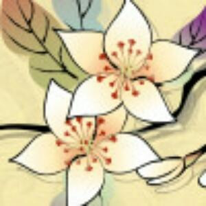 洪荒滖神