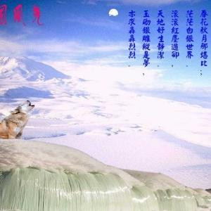 vs项羽