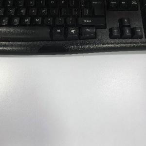 西红柿
