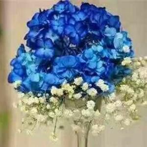悔恨