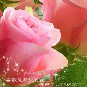 永恒的爱