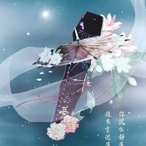 瑾夏年华