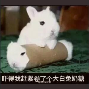 气煞我也