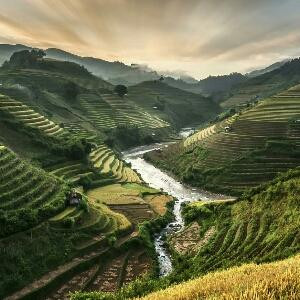 飞雪连天射白鹿