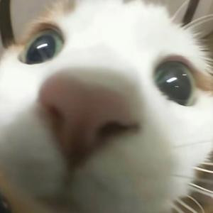 11111