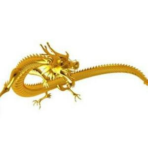 佐龍