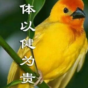 夜色微凉