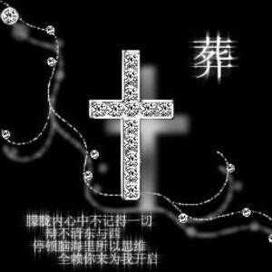 漫游少年