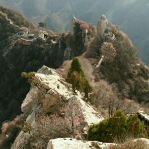 秦岭山下一书虫