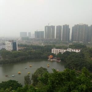 爱丽丝