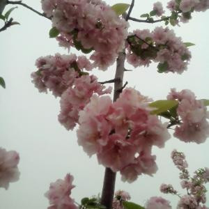 小陈陈