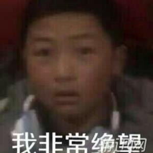 野爹