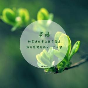 襄阳勇士