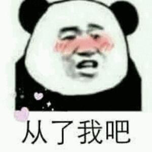 干干干