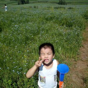 非比寻常