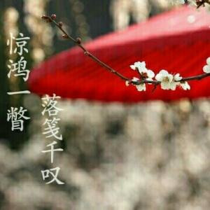 木杳