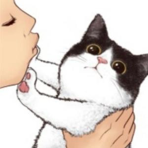一尾狸猫
