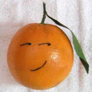 山中凡樵