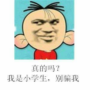 书虫