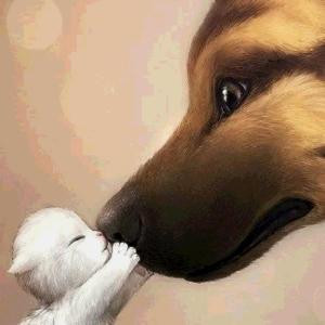 猛将张飞