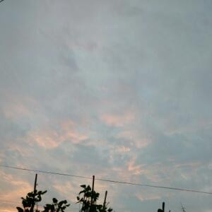 缘份的天空