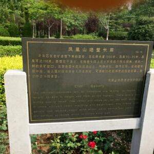 陌上花开红颜醉