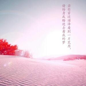 喵小懒
