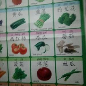 文书