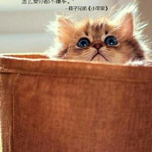 寻觅
