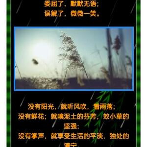 仙人掌