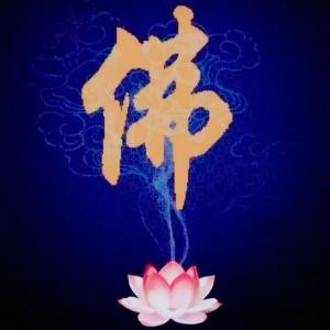 梵卍净