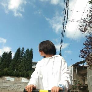 芳
