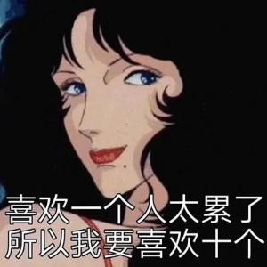 狐狸猫