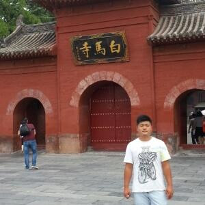 缘木求鱼