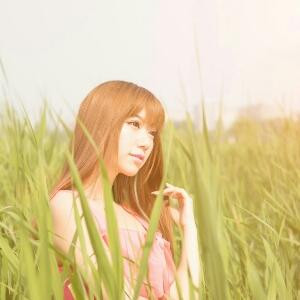 杨柳依依
