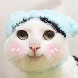 兔子的大白牙